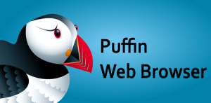 download puffin browser apk